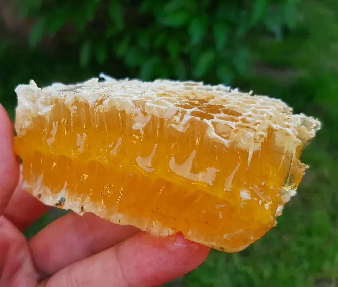 https://www.themanherbs.com.decisive-indigo-tiger.103-102-234-161.cpanel.site/storage/products/honey/d3a6a234bb20675f3c60c9d7ce7f013f.mp4
