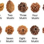 ॐ Original Nepal Origin 5 Mukhi (Panchmukhi) Rudraksha – 17mm to 22mm ॐ